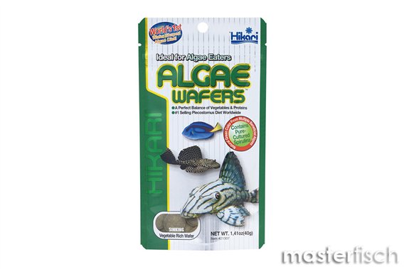 Hikari Algae Wafers 40 g